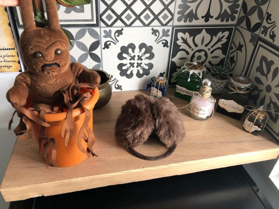 Maison Harry Potter Pour 6 Personnes En Centre Ville Montauban Exteriér fotografie