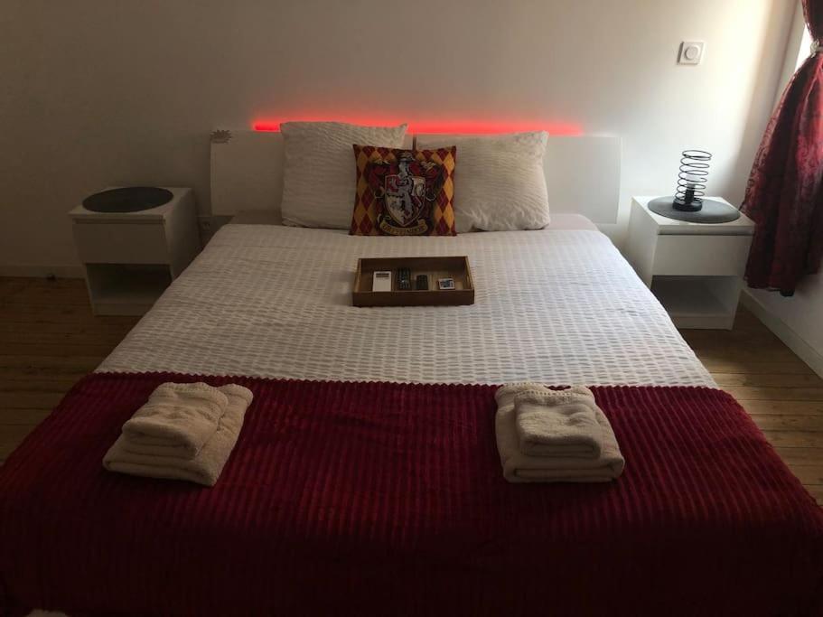 Maison Harry Potter Pour 6 Personnes En Centre Ville Montauban Exteriér fotografie