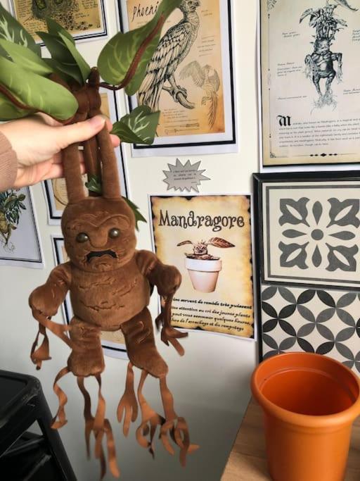 Maison Harry Potter Pour 6 Personnes En Centre Ville Montauban Exteriér fotografie